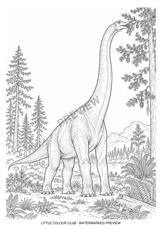 Brachiosaurus browsing high conifer branches, clear long forelimbs – black-and-white dinosaur colouring page for ages 9-12