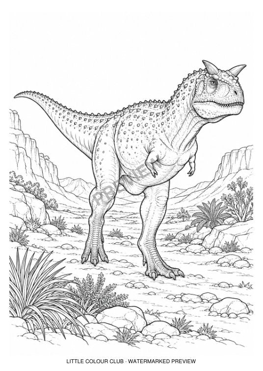 Carnotaurus crossing a dry valley, two short brow horns and tiny arms – black-and-white dinosaur colouring page for ages 9-12