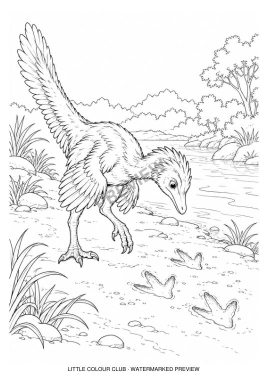 Small feathered dinosaur inspecting three footprints in soft river mud – black-and-white dinosaur colouring page for ages 7-8