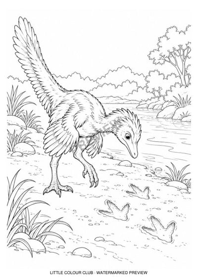 Small feathered dinosaur inspecting three footprints in soft river mud – black-and-white dinosaur colouring page for ages 7-8