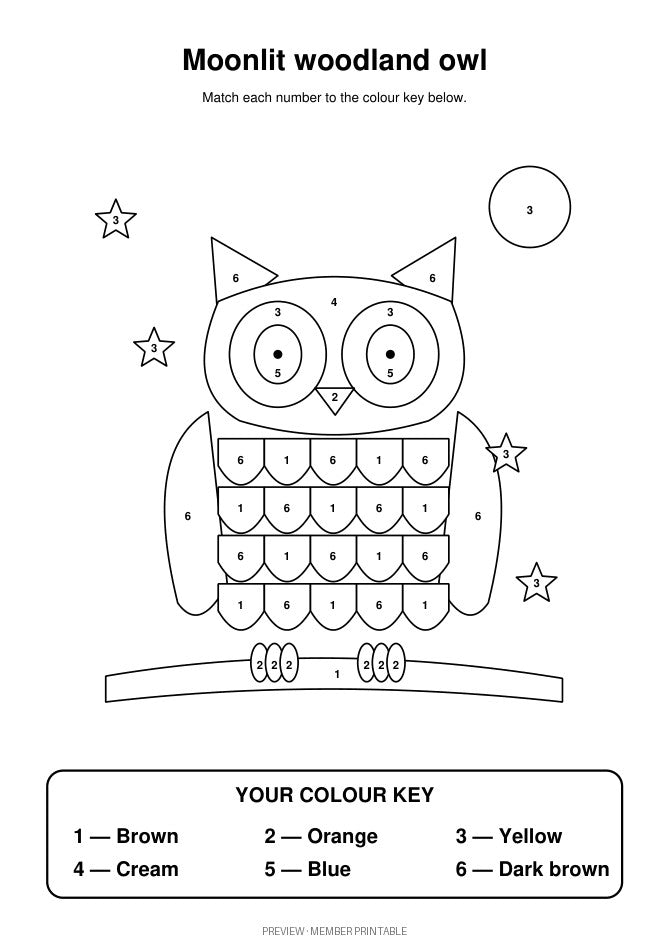 Moonlit Woodland Owl: numbered preview with subject-aware colour key