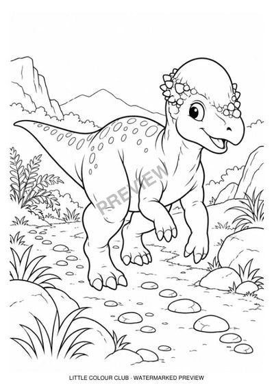 dome-headed Pachycephalosaurus exploring a pebble trail – black-and-white dinosaur colouring page for ages 5-6