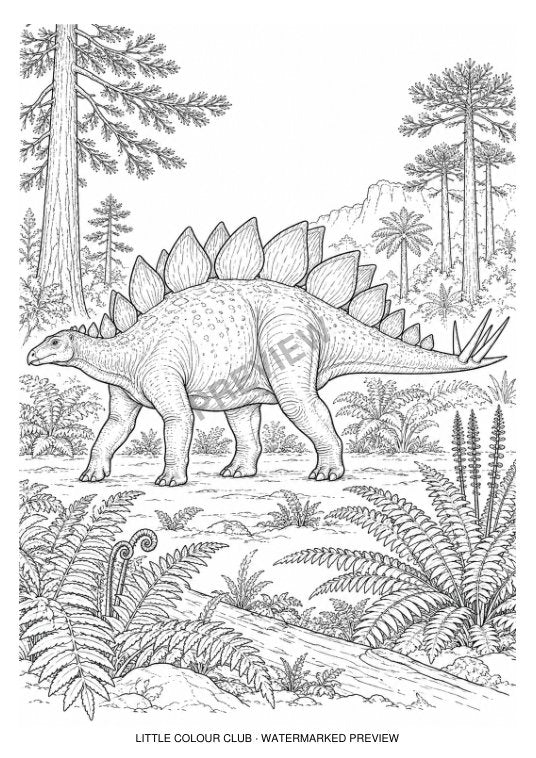 Stegosaurus side profile in a Jurassic fern woodland – black-and-white dinosaur colouring page for ages 9-12