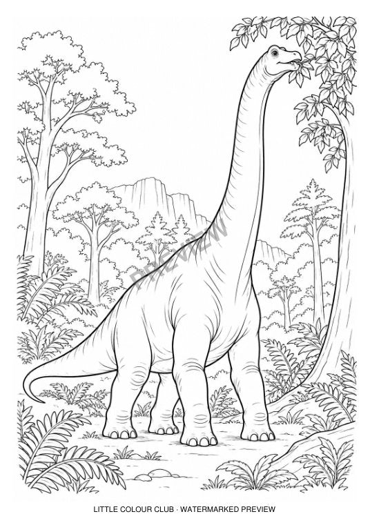Brachiosaurus reaching into a leafy canopy, layered natural forest – black-and-white dinosaur colouring page for ages 7-8