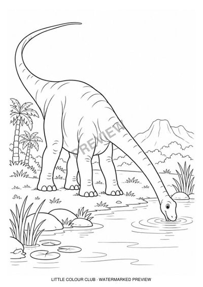 Diplodocus lowering its long neck to drink at a pond – black-and-white dinosaur colouring page for ages 5-6