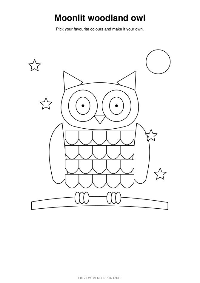 Moonlit Woodland Owl: plain black-and-white colouring preview