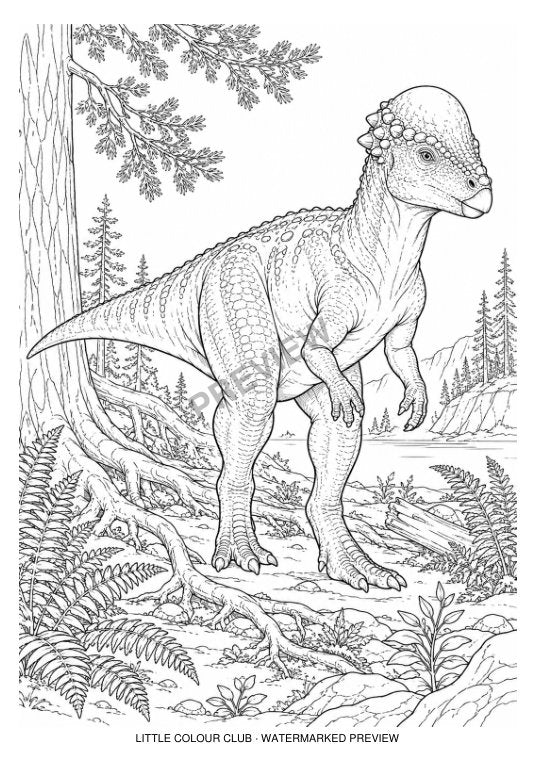 Pachycephalosaurus among conifer roots with dome skull visible – black-and-white dinosaur colouring page for ages 9-12