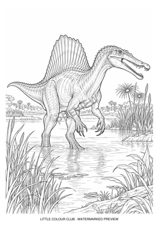 Spinosaurus wading beside delta reeds, distinctive sail and elongated snout – black-and-white dinosaur colouring page for ages 9-12