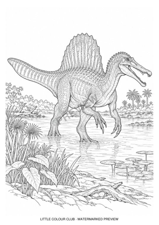Spinosaurus at a river margin, paddle-shaped tail, elongated jaws, sail and wetland plants – black-and-white dinosaur colouring page for ages 13+